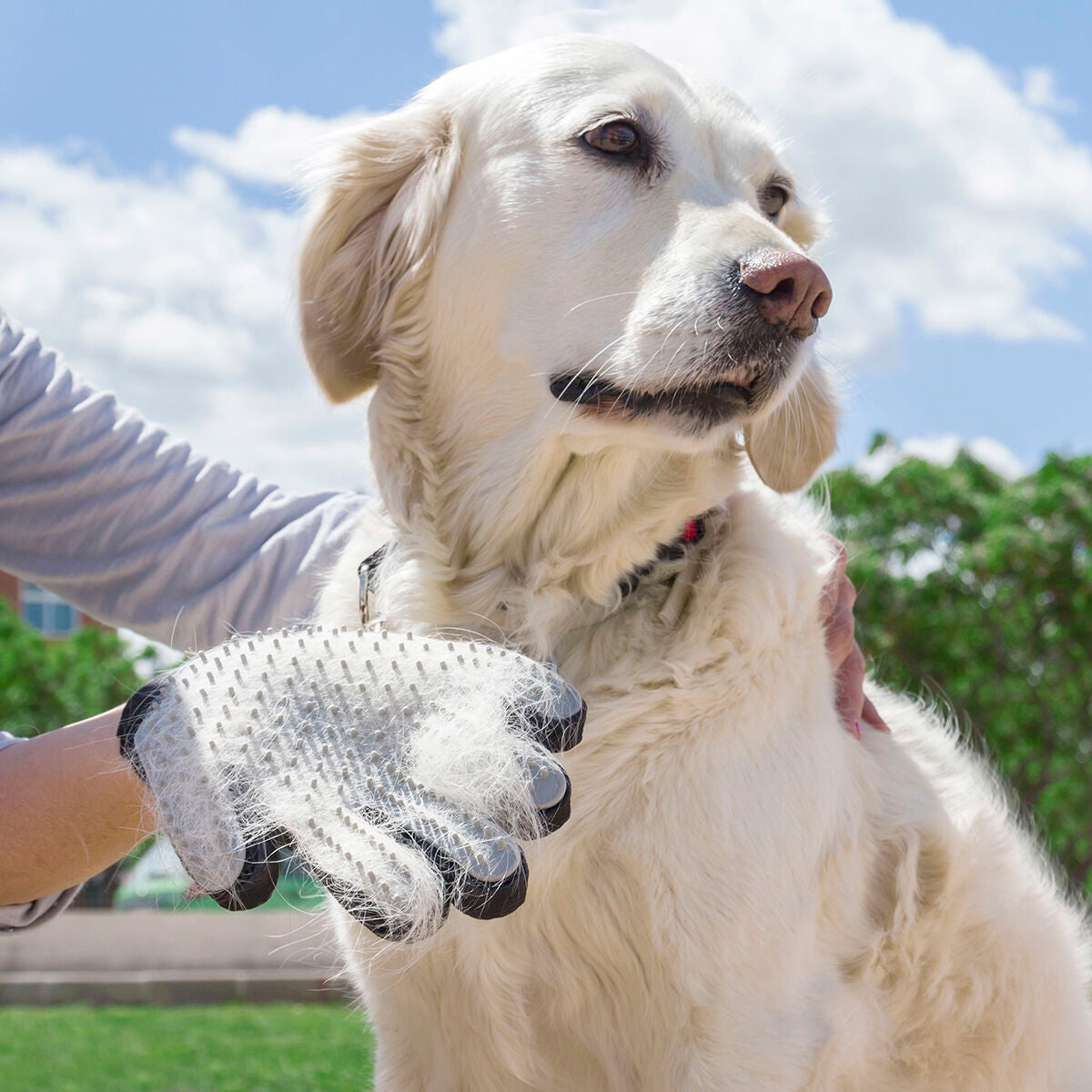 Relpet fur brush & massage glove