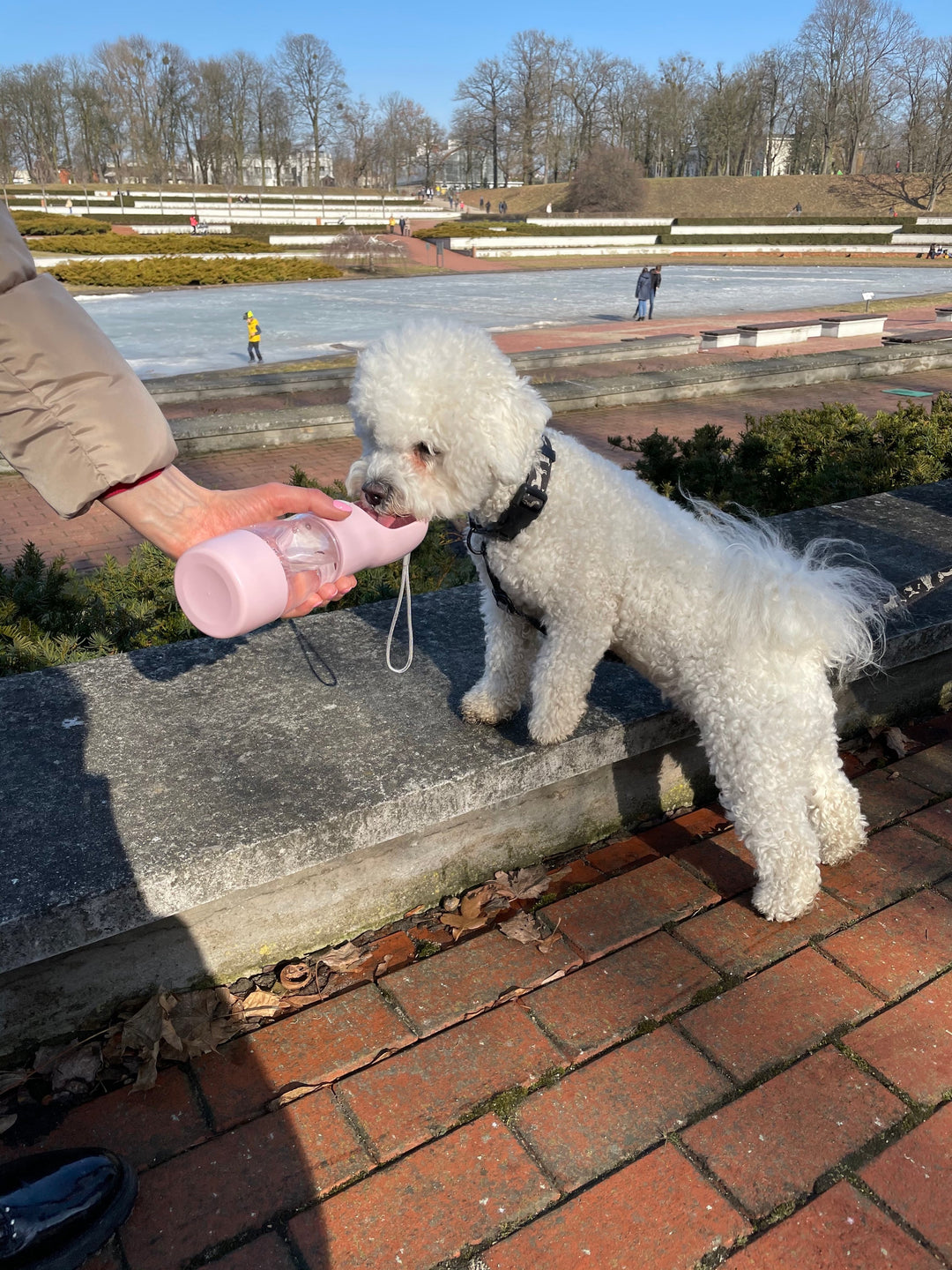 Portable Pet Food &amp; Water Bottle